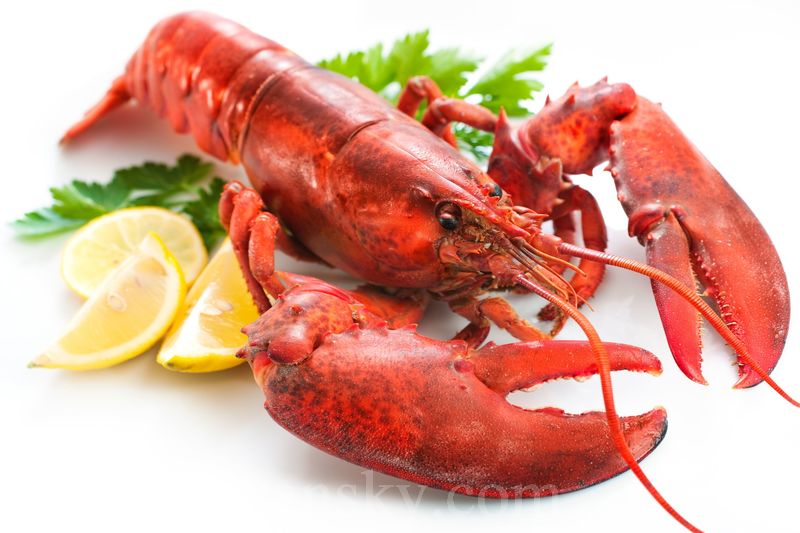 預定母亲节大餐! 讓我們為您烹調專屬於您的加拿大新斯科舍龙虾